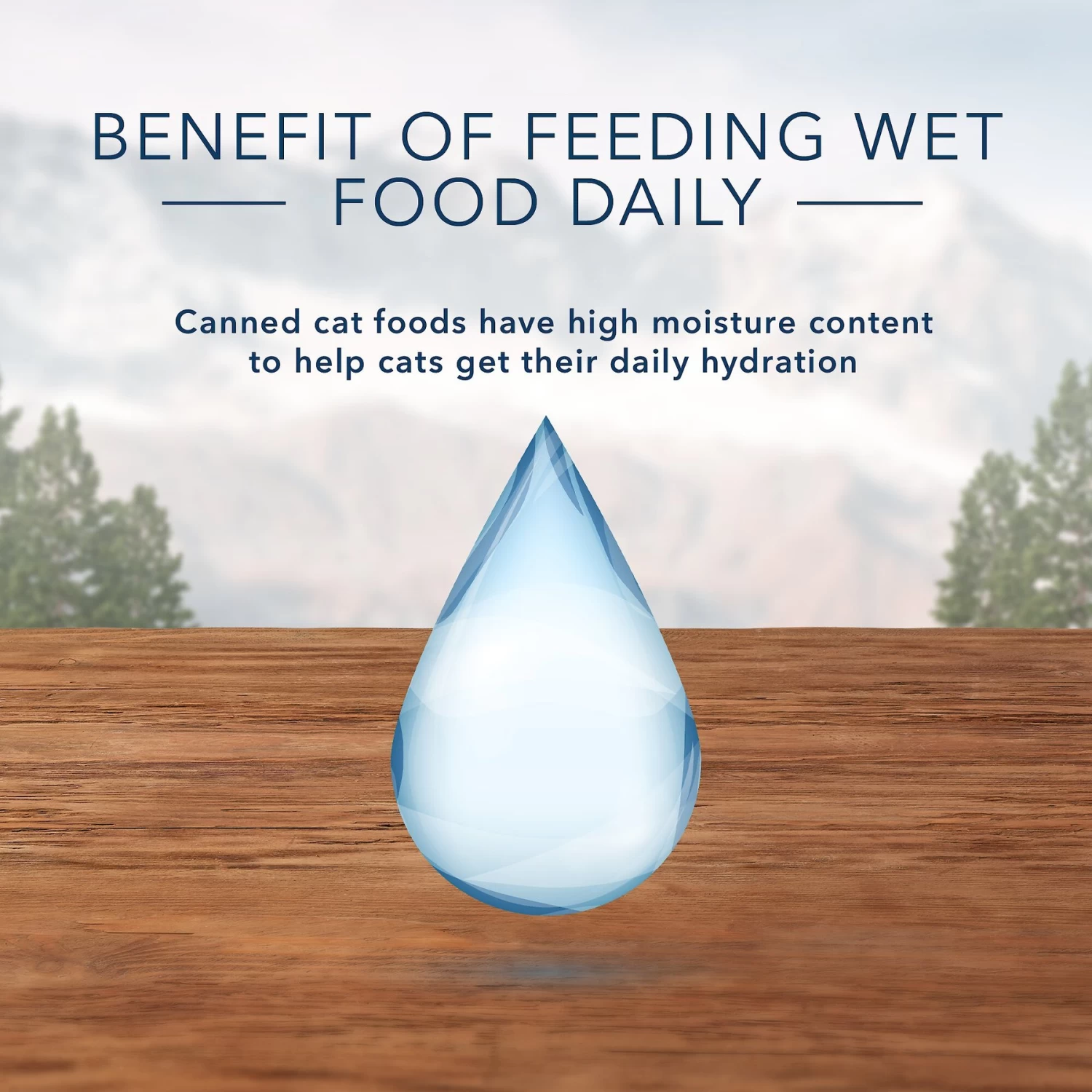 Blue Buffalo Wilderness Pate Kitten Variety Pack With Chicken & Salmon Grain-Free Cat Food - Image 6