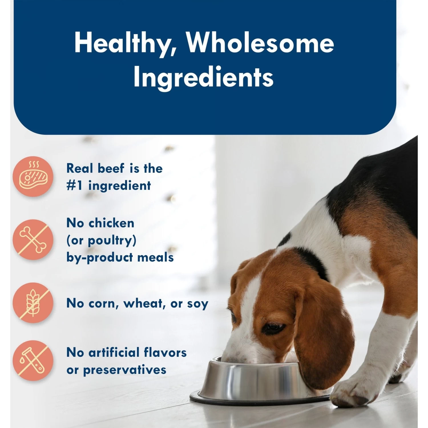 Blue Buffalo Divine Delights Filet Mignon Flavor Pate Dog Food Trays - Image 6