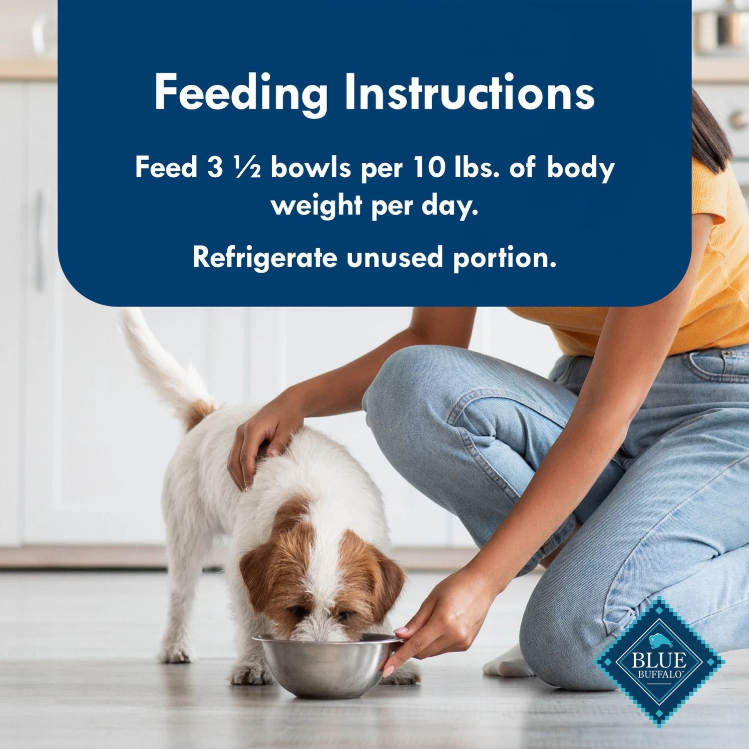 Blue Buffalo Divine Delights Filet Mignon Flavor Pate Dog Food Trays - Image 8