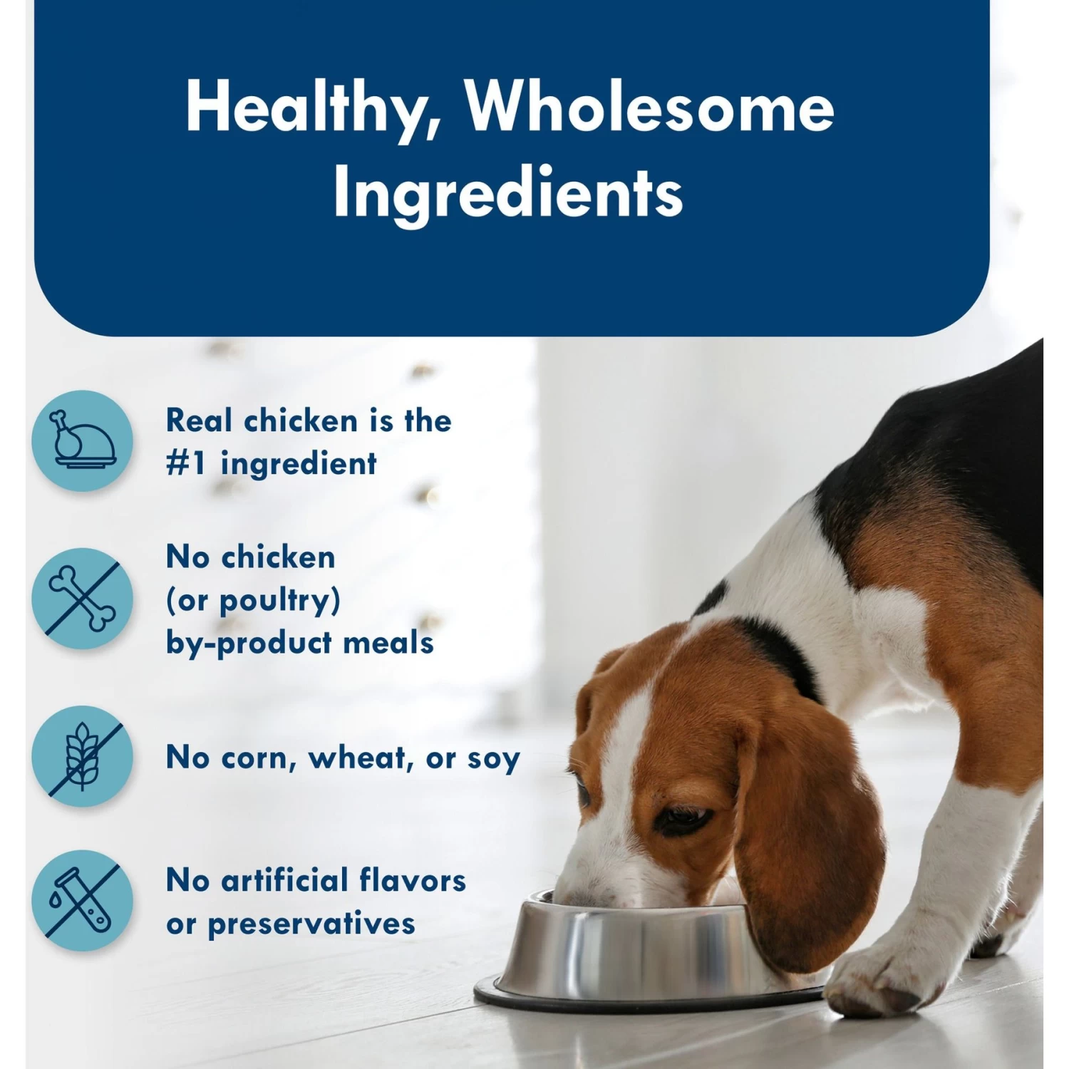 Blue Buffalo Divine Delights Grilled Chicken Flavor Pate Dog Food Trays - Image 6