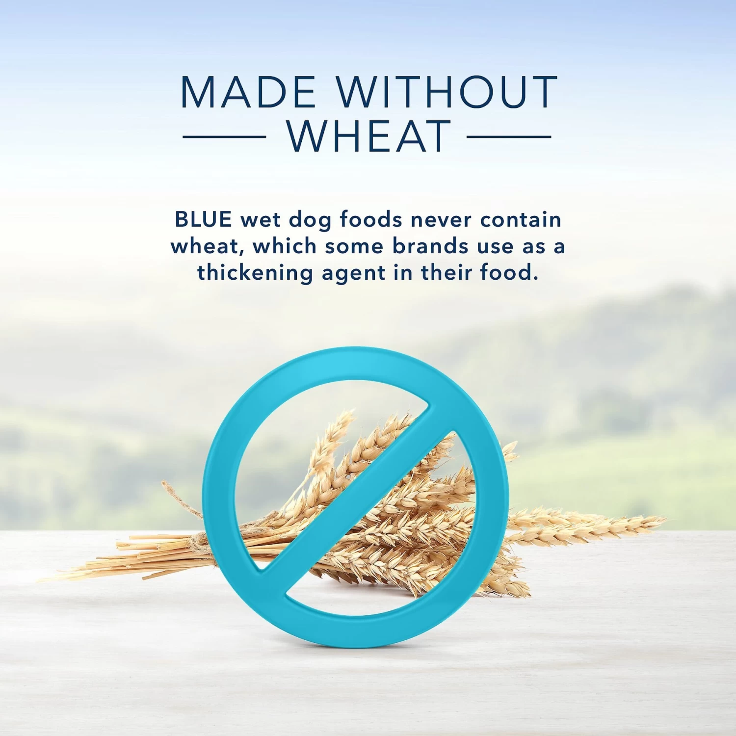 Blue Buffalo Divine Delights Gravy Variety Pack Filet Mignon & NY Strip Flavor Dog Food Trays - Image 4