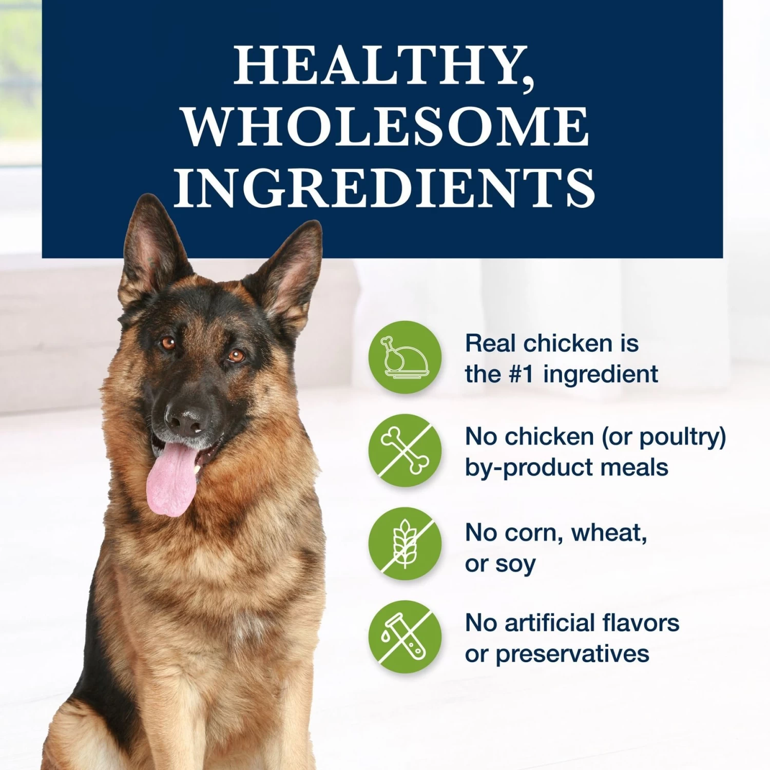 Blue Buffalo Natural Veterinary Diet GI Gastrointestinal Support Dry Dog Food - Image 6