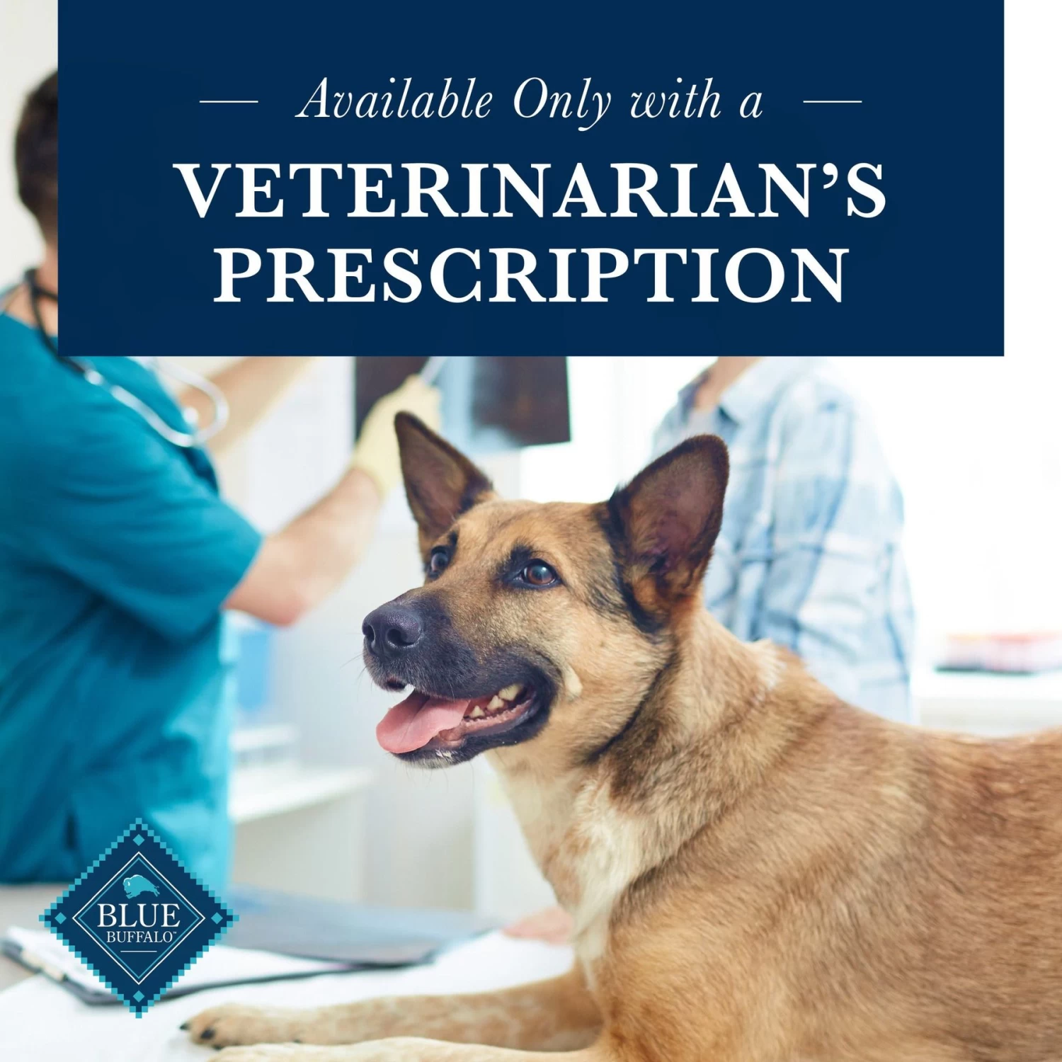 Blue Buffalo Natural Veterinary Diet GI Gastrointestinal Support Dry Dog Food - Image 7