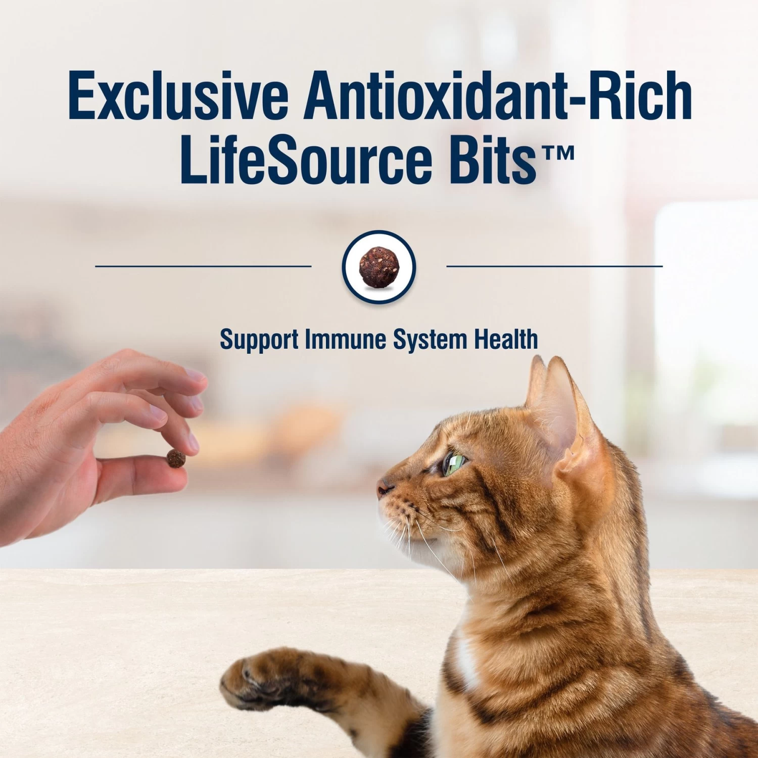 Blue Buffalo True Solutions Healthy Weight Natural Weight Control Chicken Adult Dry Cat Food - Image 7