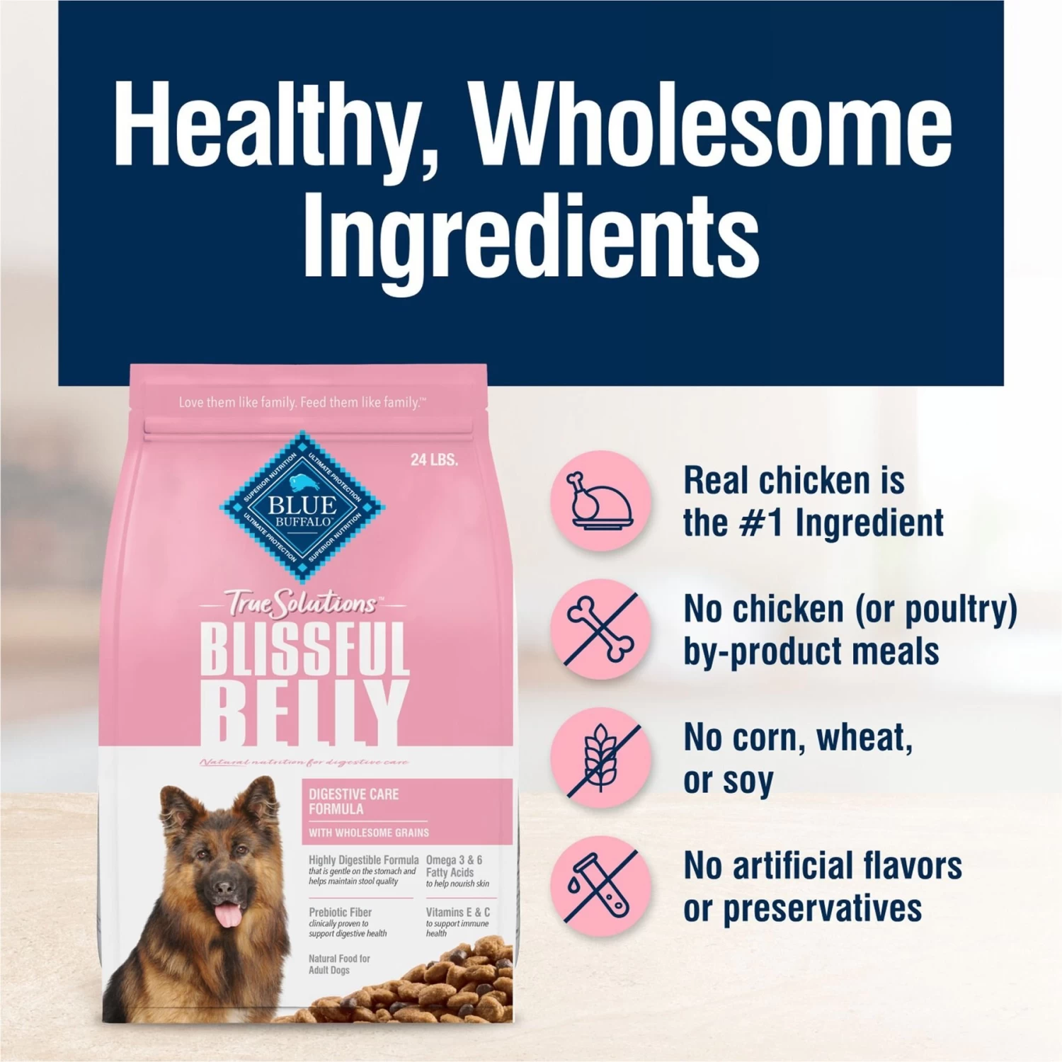 Blue Buffalo True Solutions Blissful Belly Digestive Care Formula Dry Dog Food - Image 6