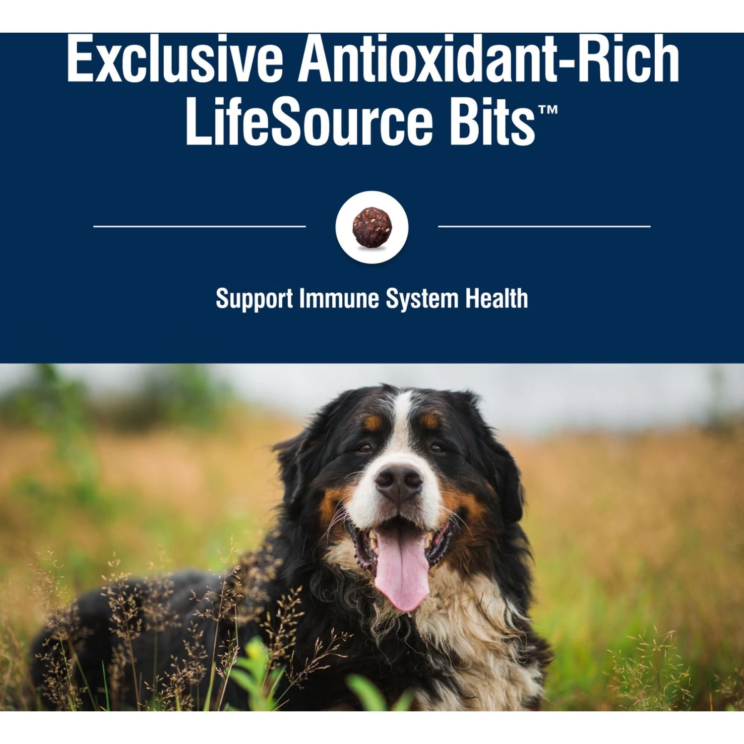 Blue Buffalo True Solutions Blissful Belly Digestive Care Formula Dry Dog Food - Image 7