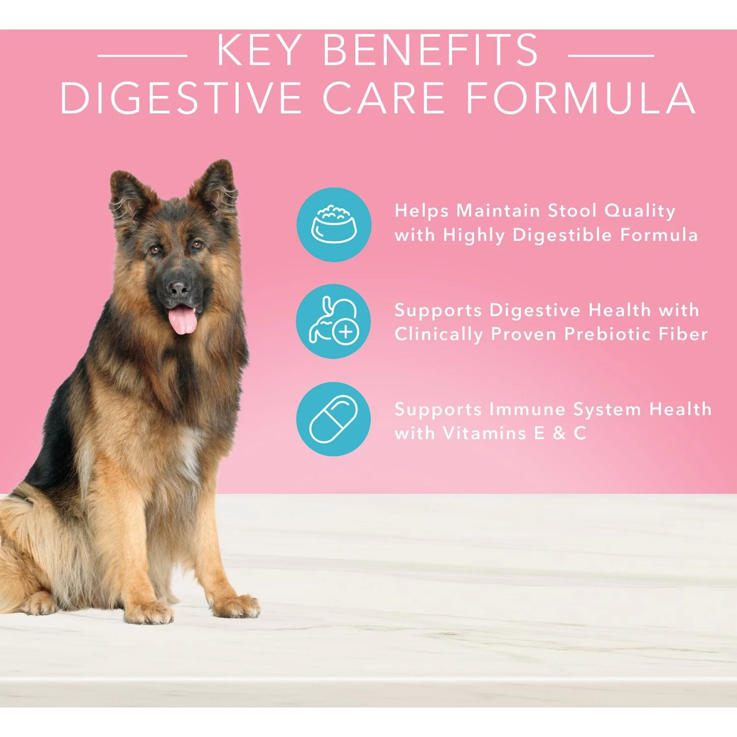 Blue Buffalo True Solutions Blissful Belly Digestive Care Formula Wet Dog Food - Image 3