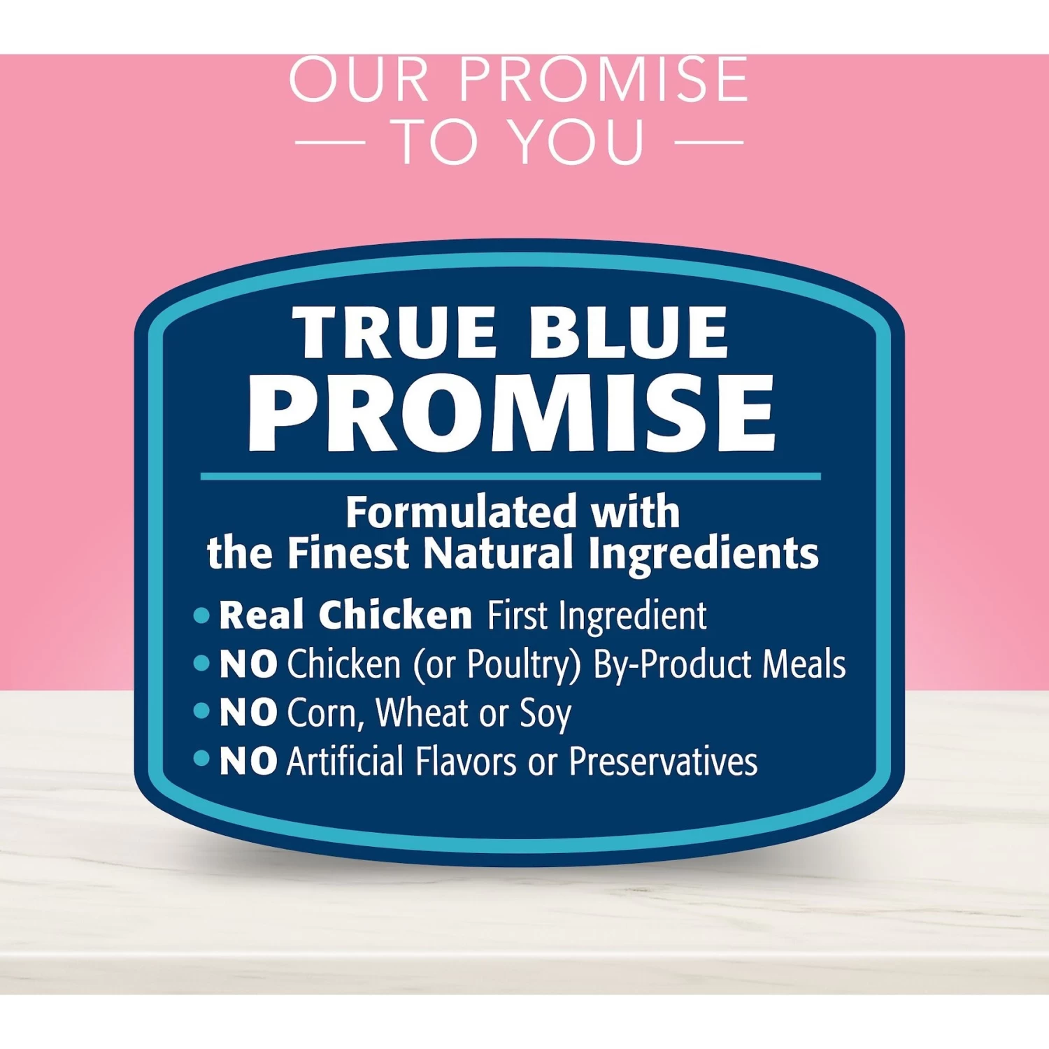 Blue Buffalo True Solutions Blissful Belly Digestive Care Formula Wet Dog Food - Image 5