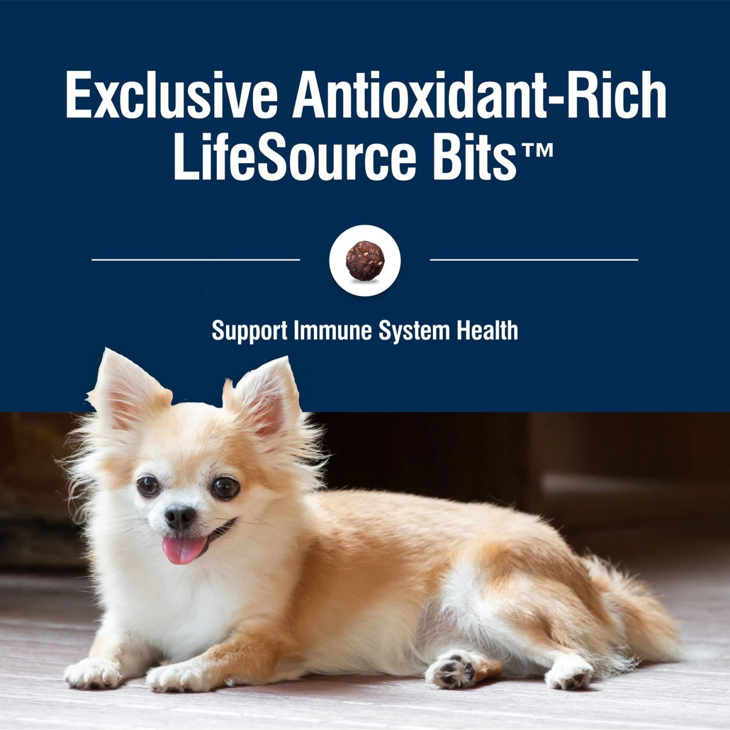 Blue Buffalo True Solutions Small & Mighty Small Breed Formula Adult Dry Dog Food - Image 7