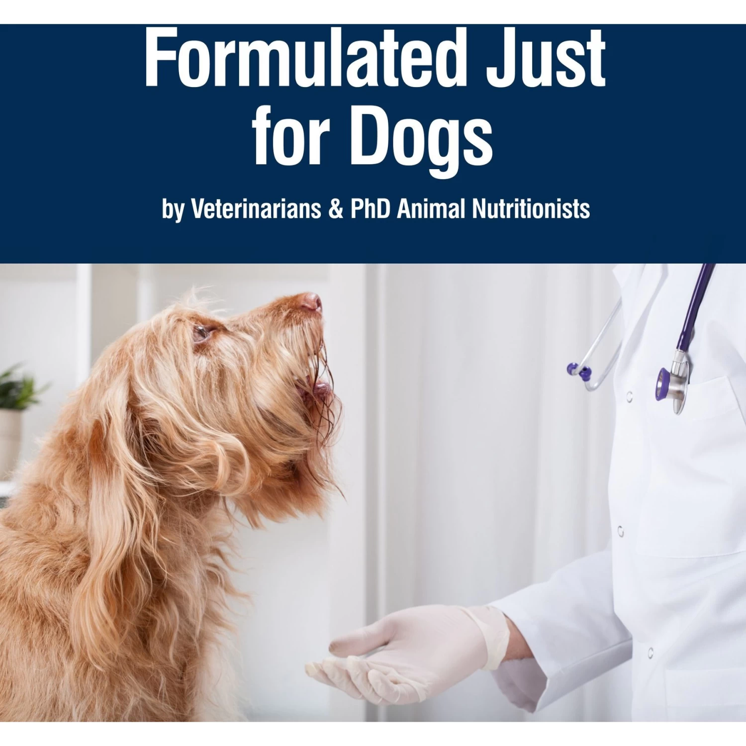 Blue Buffalo True Solutions Best Life Wholesome Grains Medium Breed Adult Wet Dog Food, 12.5-oz Can, Case Of 12 - Image 7