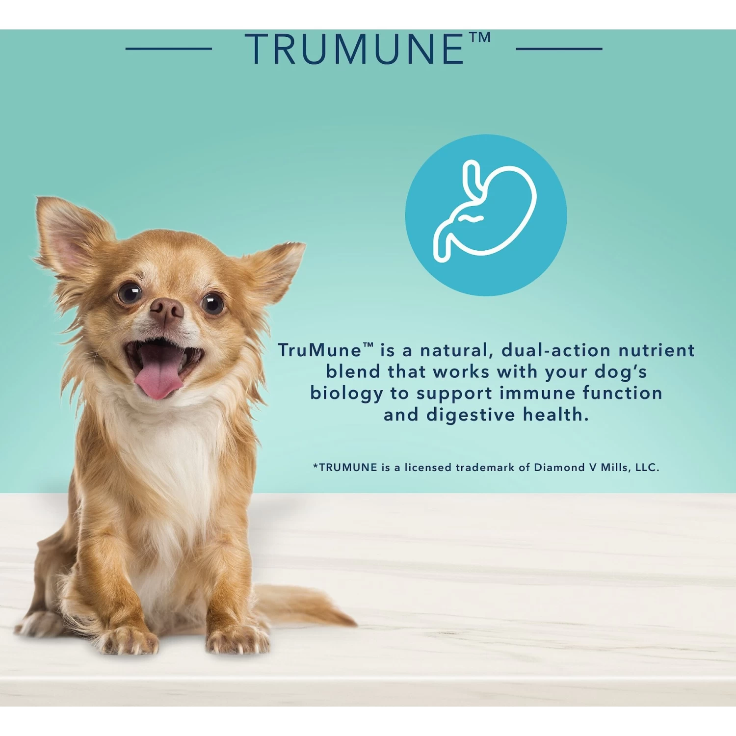 Blue Buffalo True Solutions Small & Mighty Small Breed Formula Adult Wet Dog Food, 5.5-oz Can, Case Of 24 - Image 6