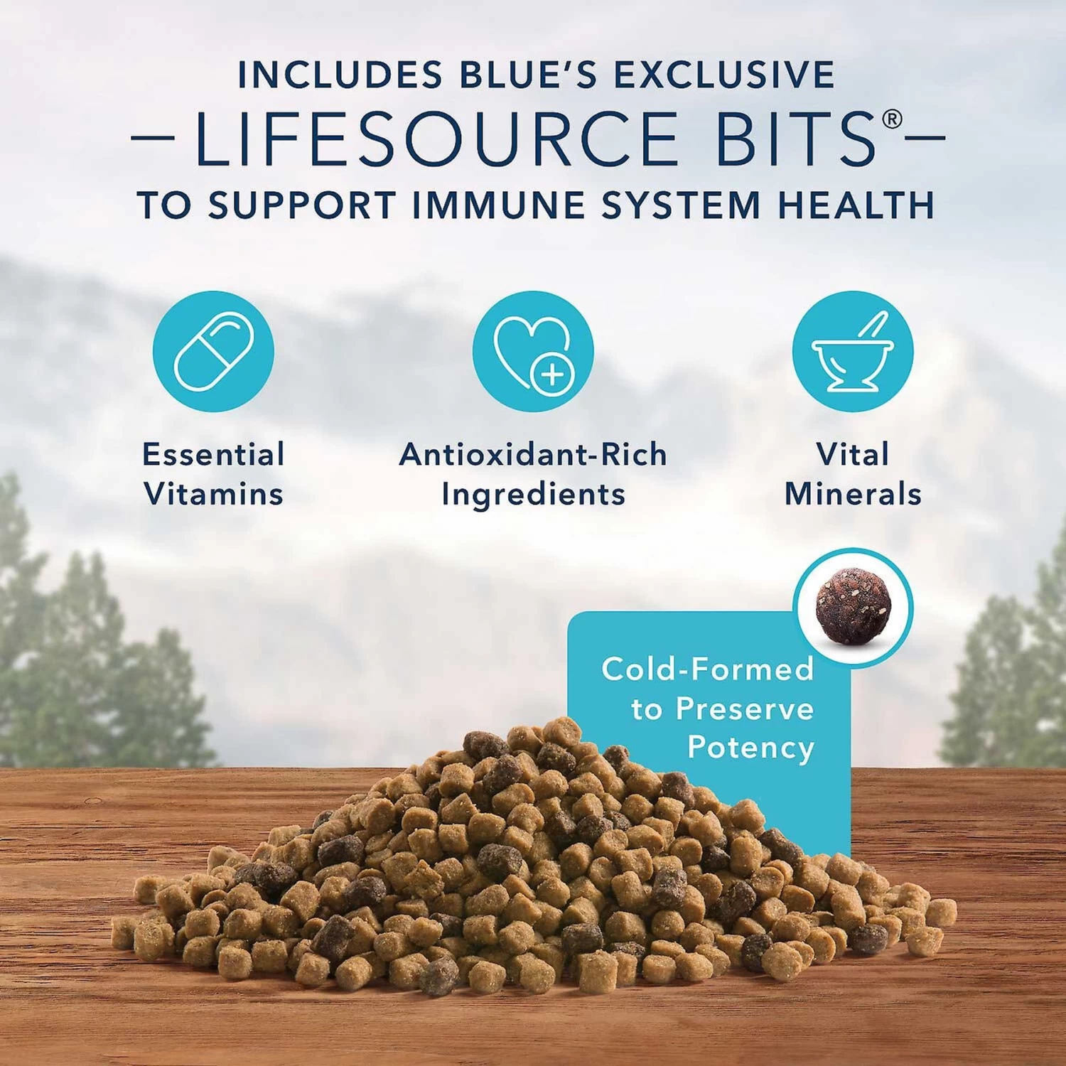 Blue Buffalo Wilderness Salmon Recipe Grain-Free Dry Cat Food & Blue Buffalo Bursts With Savory Seafood Cat Treats - Image 4