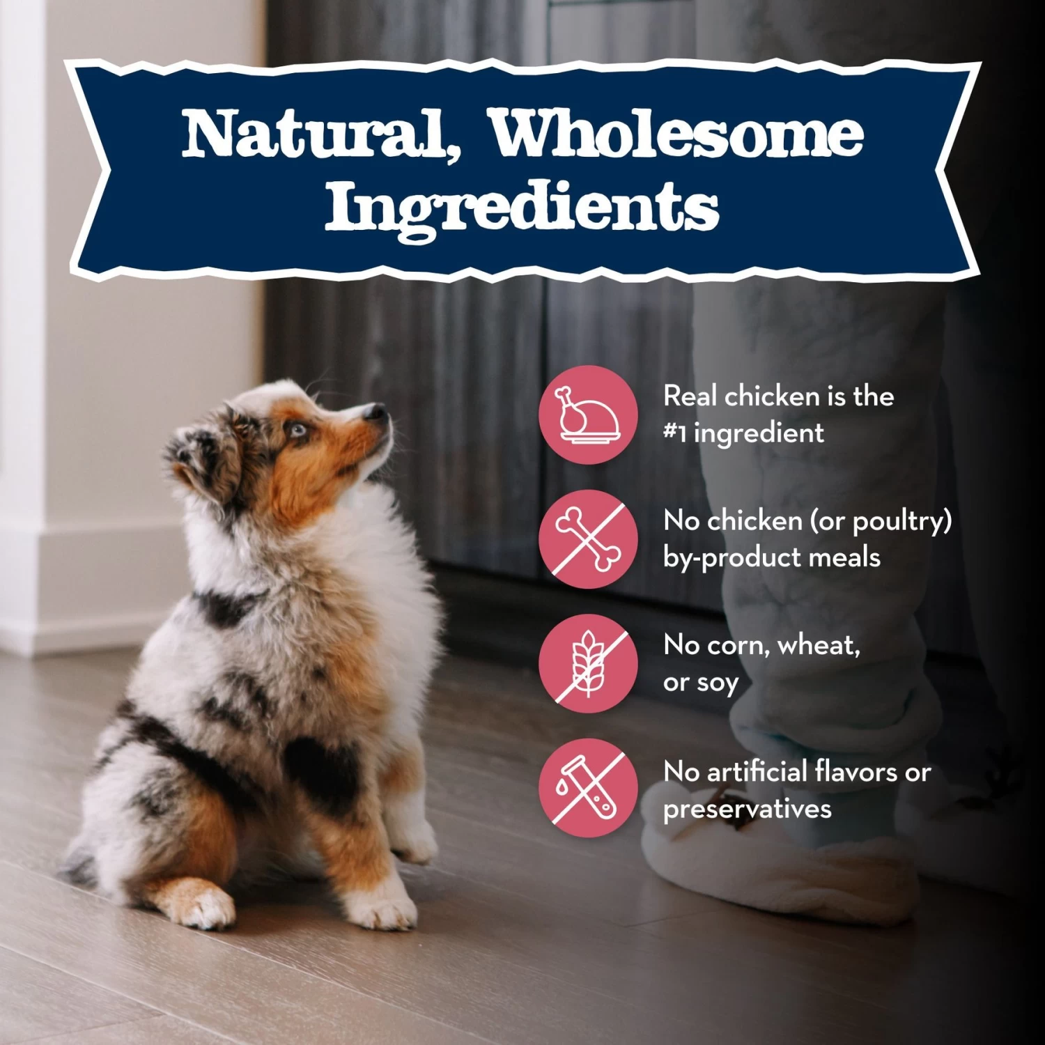 Blue Buffalo Baby Blue Small Breed Healthy Growth Formula Natural Chicken & Oatmeal Rice Recipe Puppy Dry Food, 4-lb Bag - Image 6