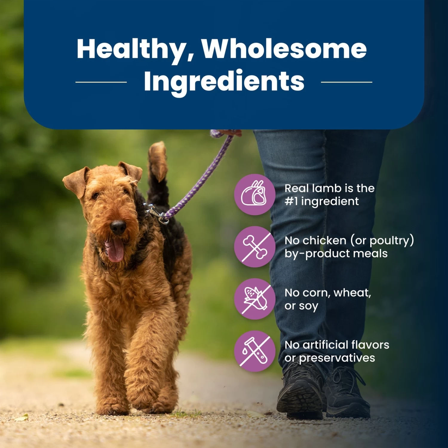 Blue Buffalo Life Protection Formula Large Breed Adult Lamb & Brown Rice Recipe Dry Dog Food - Image 6