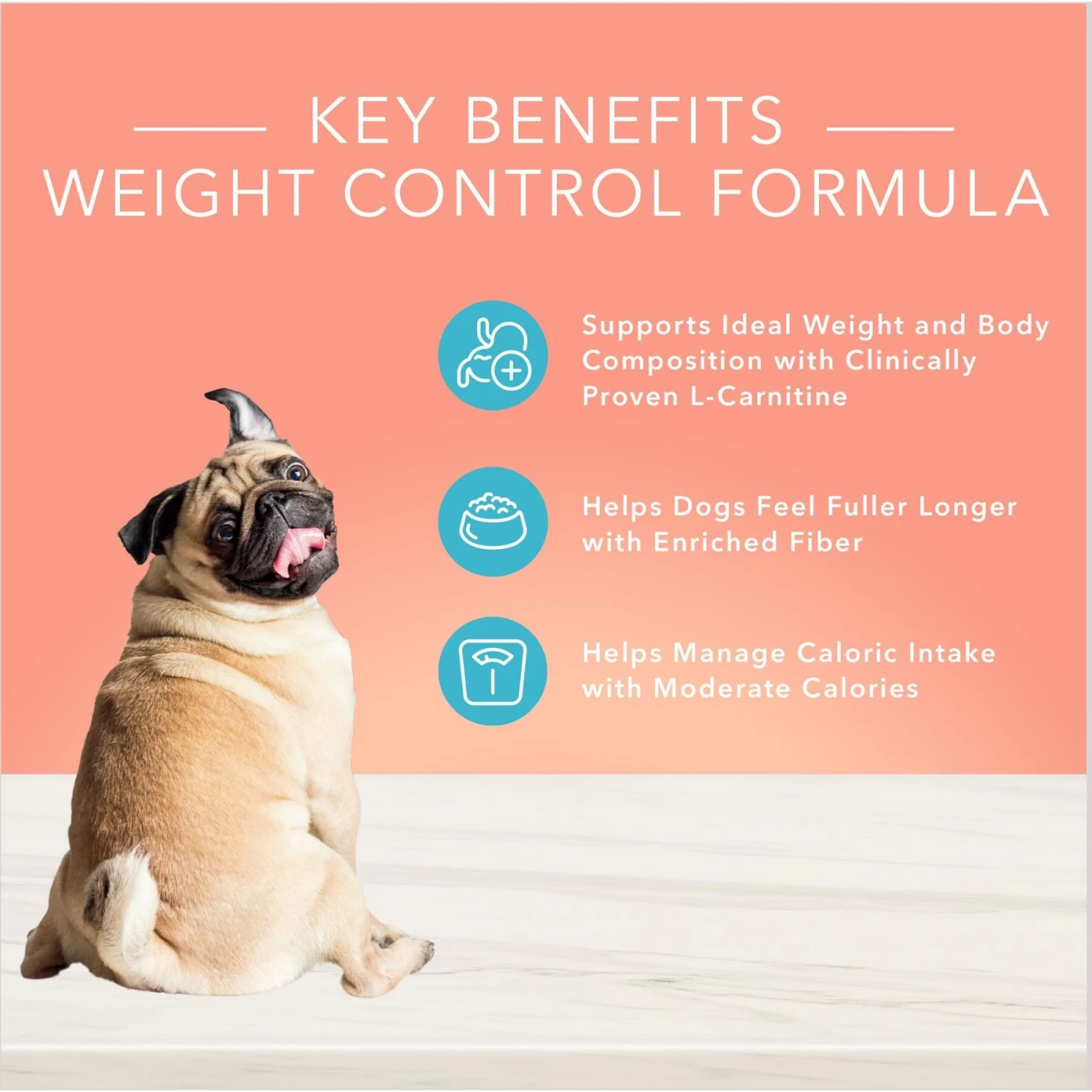 Blue Buffalo Life Protection Formula Large Breed Healthy Weight Adult Chicken & Brown Rice Recipe Dry Dog Food & Blue Buffalo True Solutions Healthy Weight Natural Weight Control Chicken Adult Wet Dog Food - Image 4