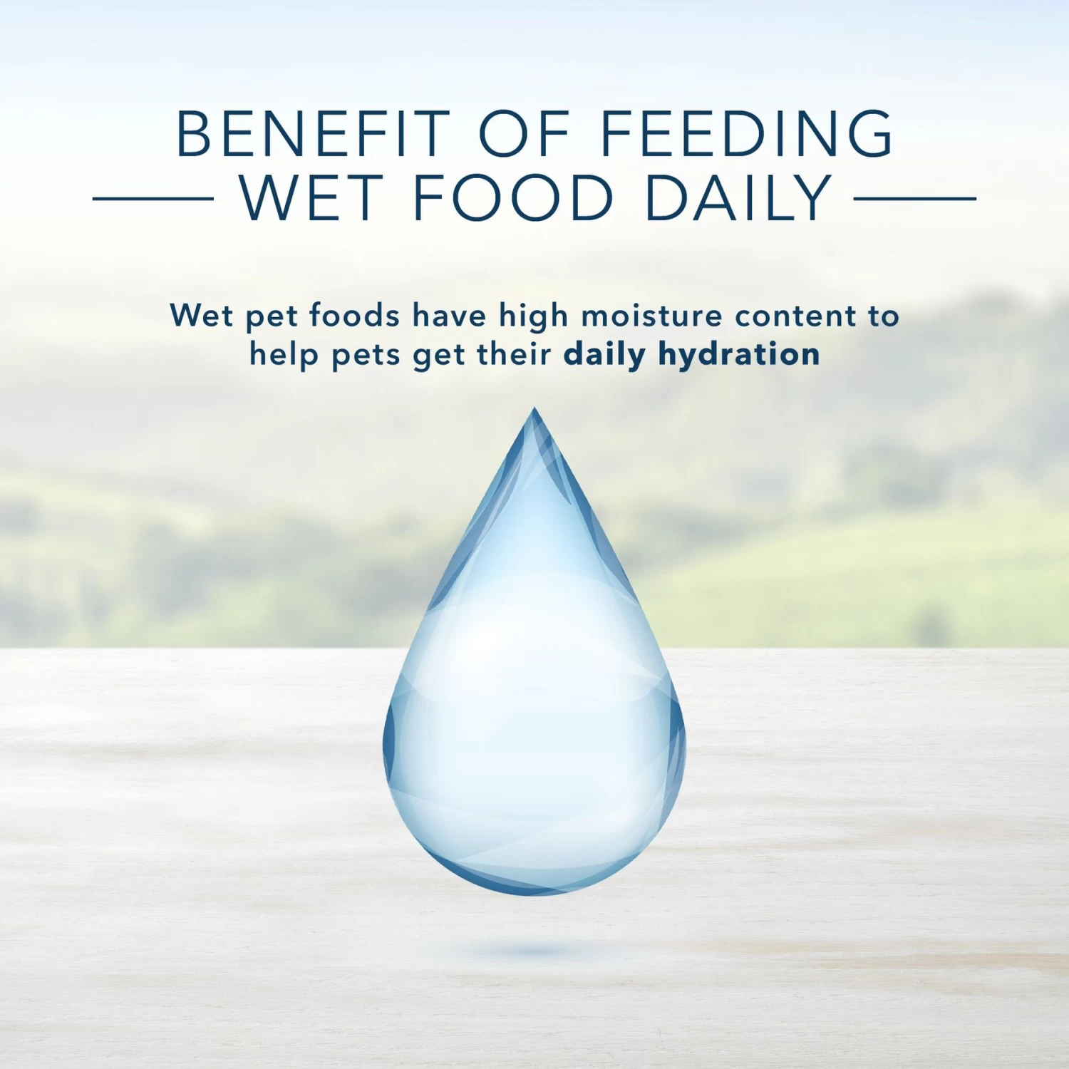 Blue Buffalo Blue's Hearty Beef Stew Grain-Free Canned Dog Food - Image 6