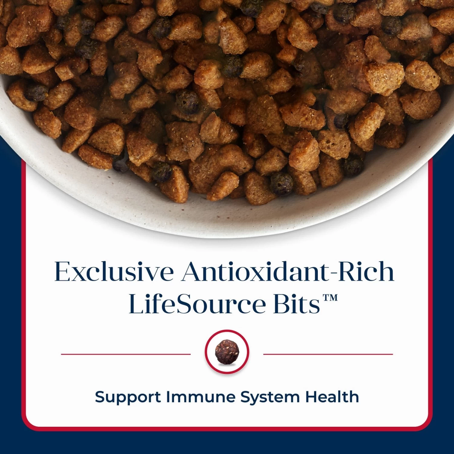 Blue Buffalo Basics Skin & Stomach Care Salmon & Potato Recipe Adult Dry Dog Food - Image 8