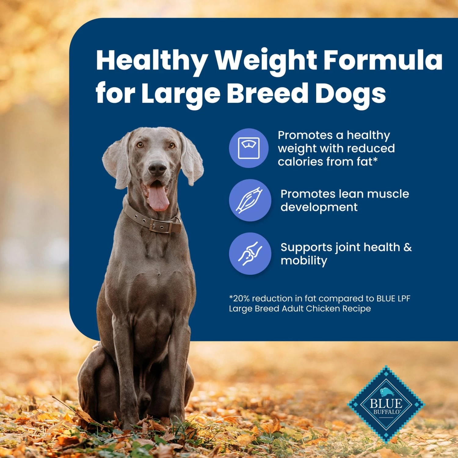 Blue Buffalo Life Protection Formula Large Breed Healthy Weight Adult Chicken & Brown Rice Recipe Dry Dog Food - Image 4