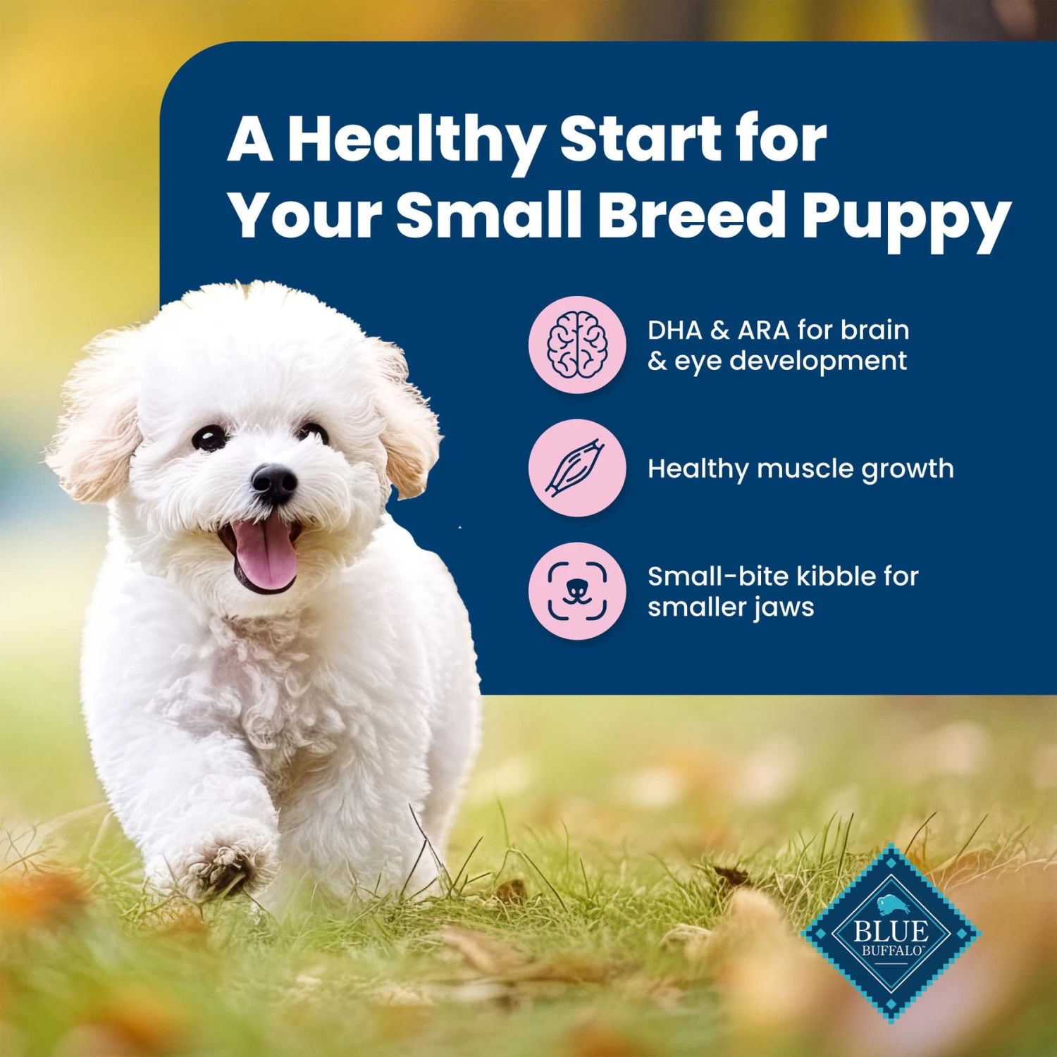Blue Buffalo Life Protection Formula Small Breed Puppy Chicken & Oatmeal Recipe Dry Dog Food - Image 4
