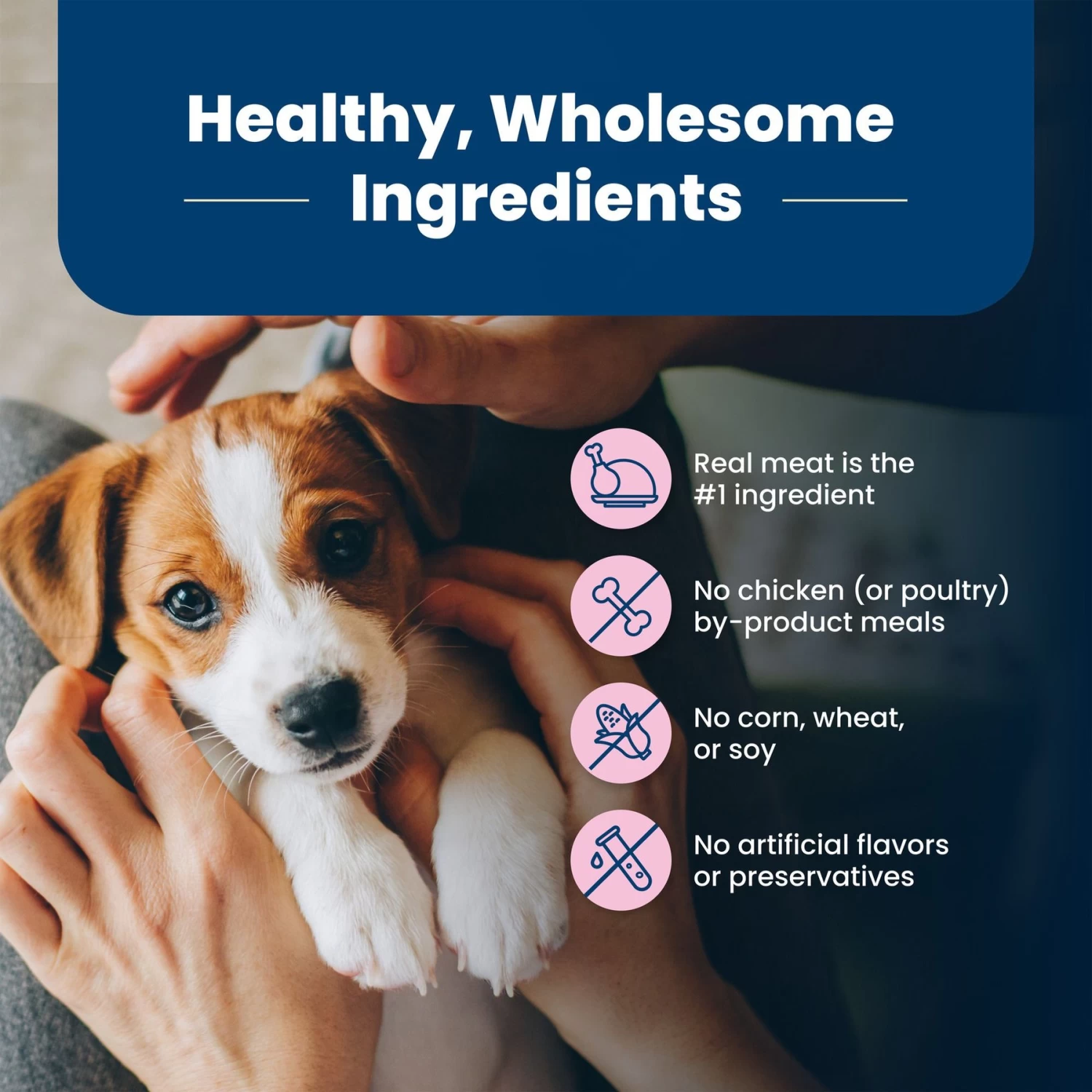 Blue Buffalo Life Protection Formula Small Breed Puppy Chicken & Oatmeal Recipe Dry Dog Food - Image 6