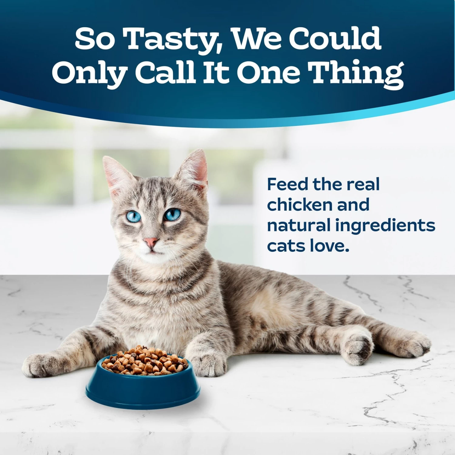 Blue Buffalo Tastefuls Sensitive Stomach Natural Chicken Adult Dry Cat Food - Image 3