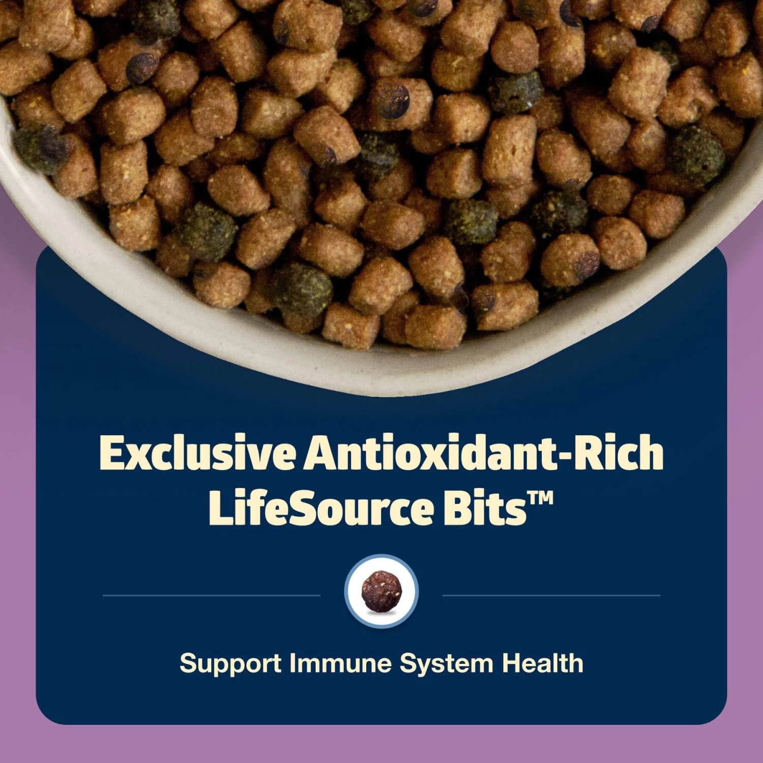 Blue Buffalo Freedom Indoor Adult Chicken Recipe Grain-Free Dry Cat Food - Image 6