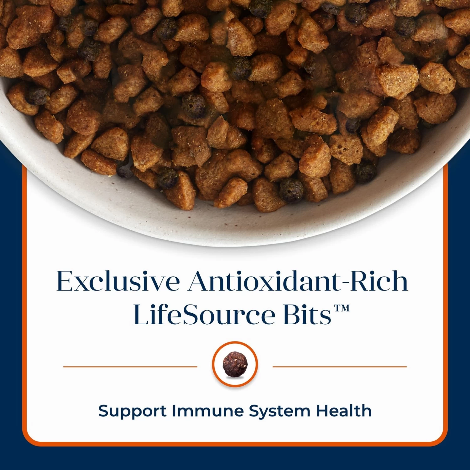 Blue Buffalo Basics Skin & Stomach Care Turkey & Potato Recipe Large Breed Adult Dry Dog Food - Image 8