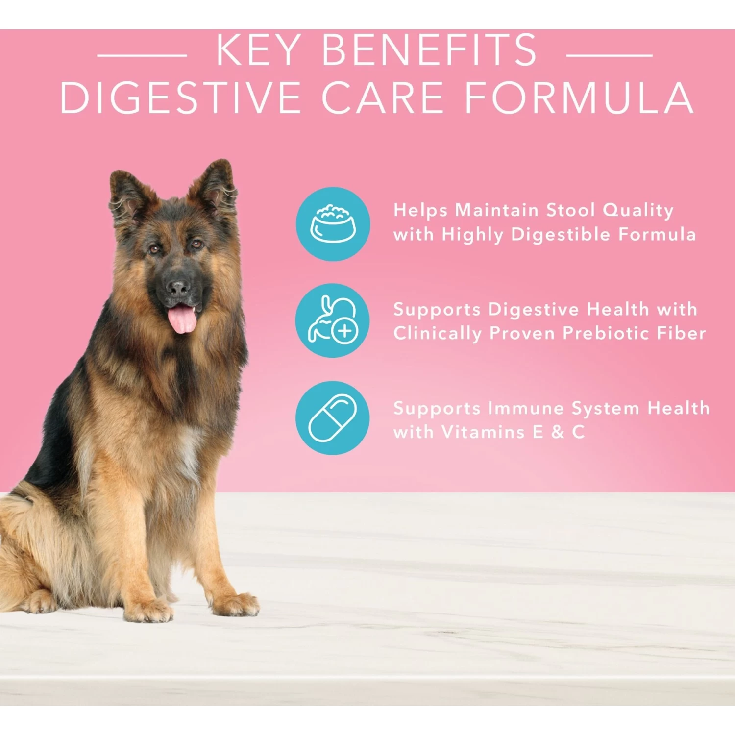 Blue Buffalo True Solutions Blissful Belly Digestive Care Formula Dry Dog Food & Blue Buffalo True Solutions Blissful Belly Digestive Care Formula Wet Dog Food - Image 9
