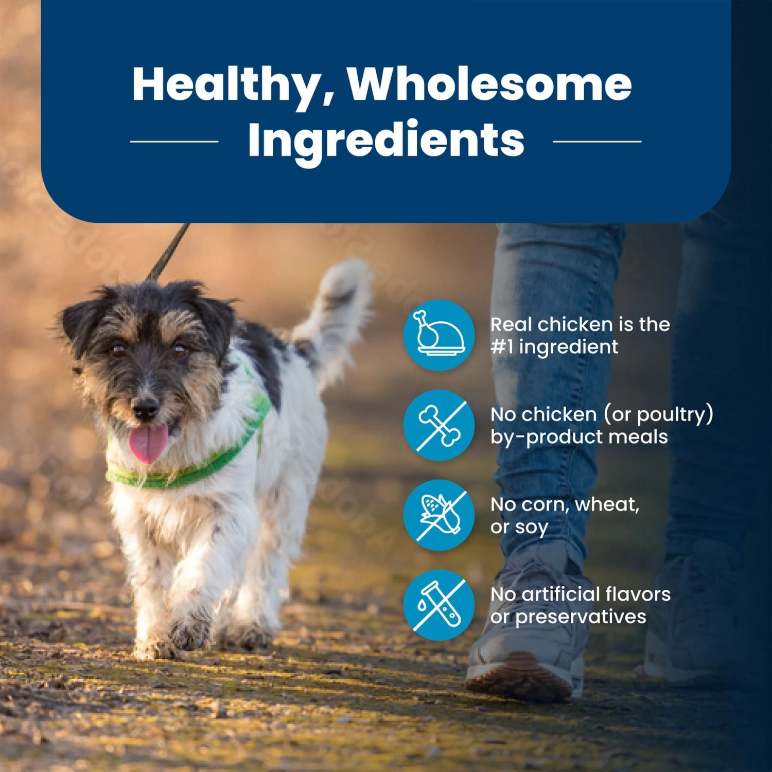 Blue Buffalo Life Protection Formula Small Bite Adult Chicken & Brown Rice Recipe Dry Dog Food - Image 6