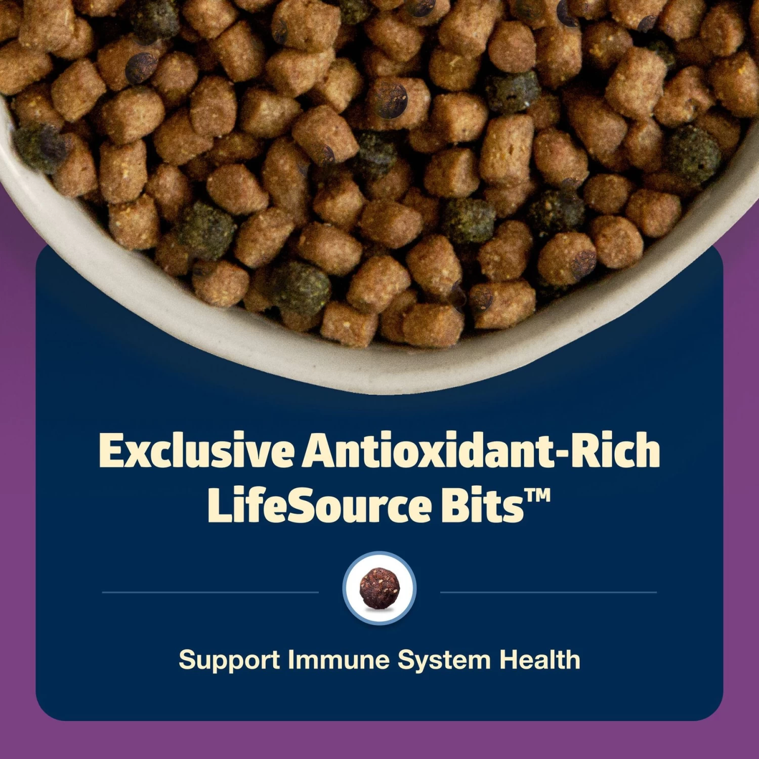 Blue Buffalo Freedom Indoor Mature Chicken Recipe Grain-Free Dry Cat Food - Image 6