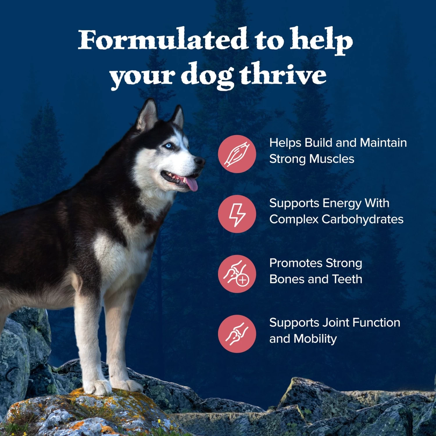 Blue Buffalo Wilderness Adult High Protein Natural Salmon & Wholesome Grains Dry Dog Food - Image 4