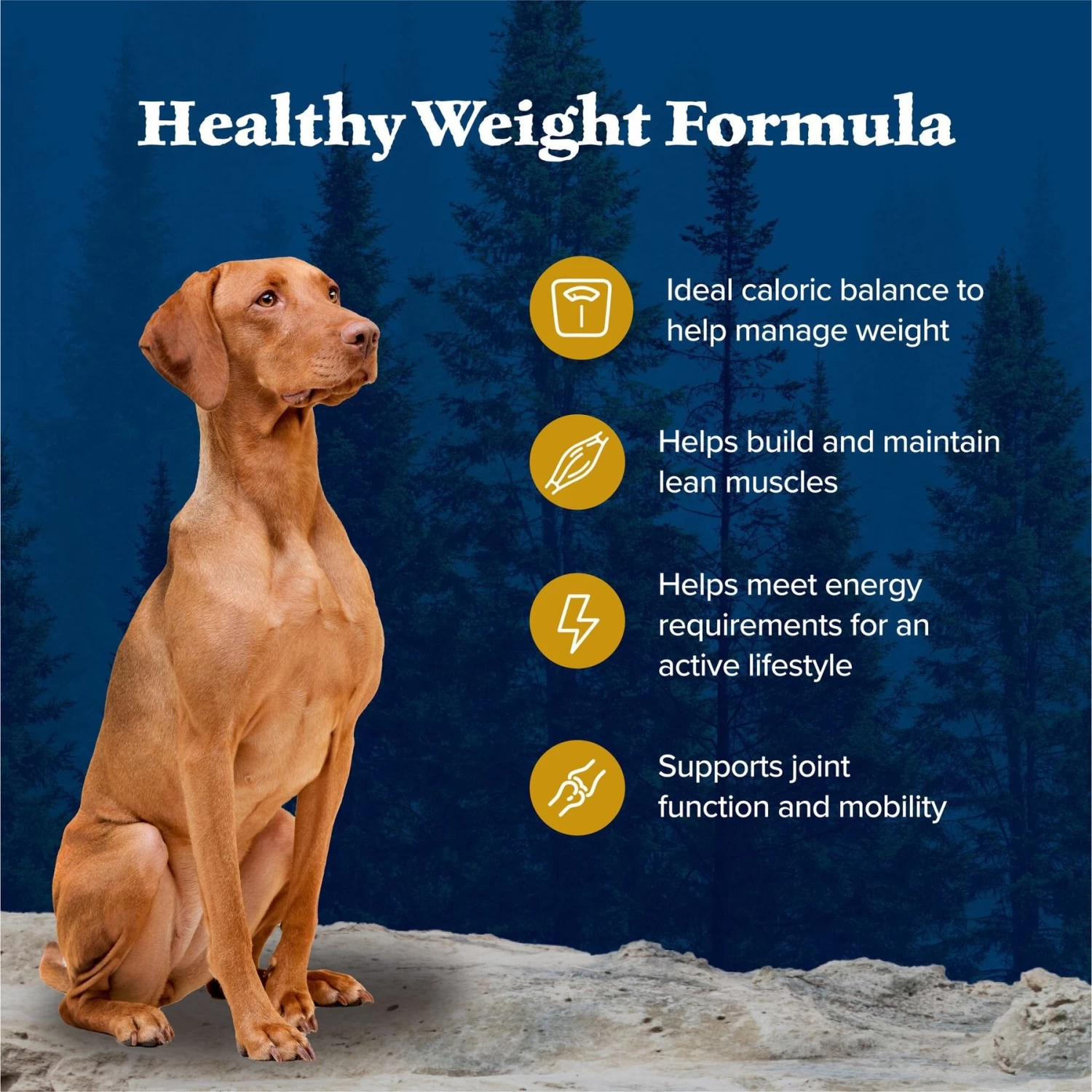 Blue Buffalo Wilderness Healthy Weight Adult High Protein Natural Chicken & Wholesome Grains Dry Dog Food - Image 4