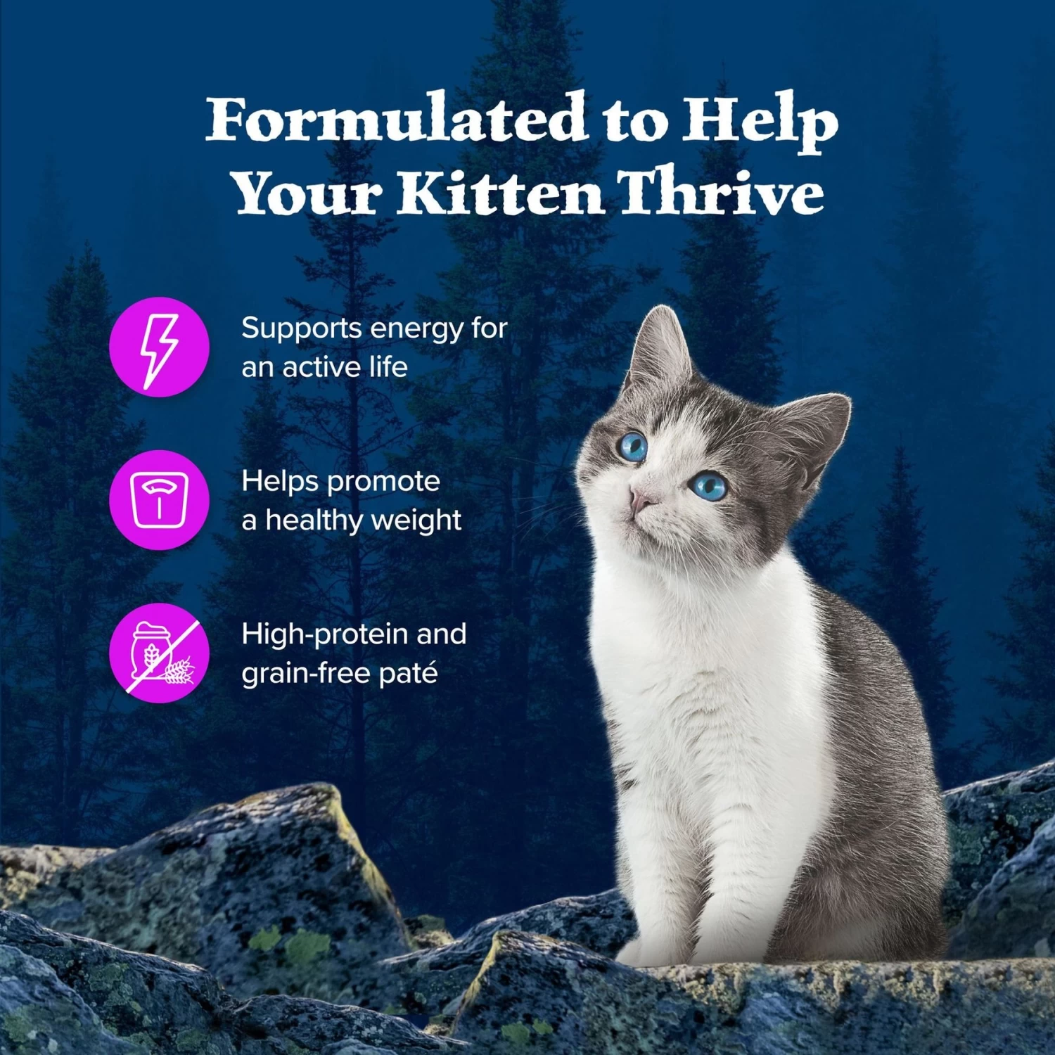 Blue Buffalo Wilderness Kitten Salmon Grain-Free Canned Cat Food - Image 4