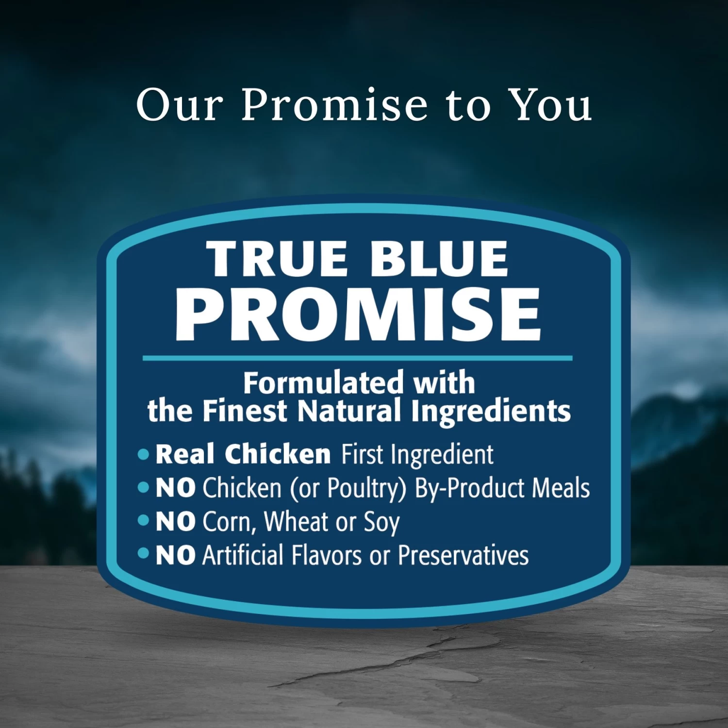 Blue Buffalo Blue Wilderness Premier Blend With Meaty Cuts Chicken Large Breed Adult Dry Dog Food, 24-lb Bag - Image 8