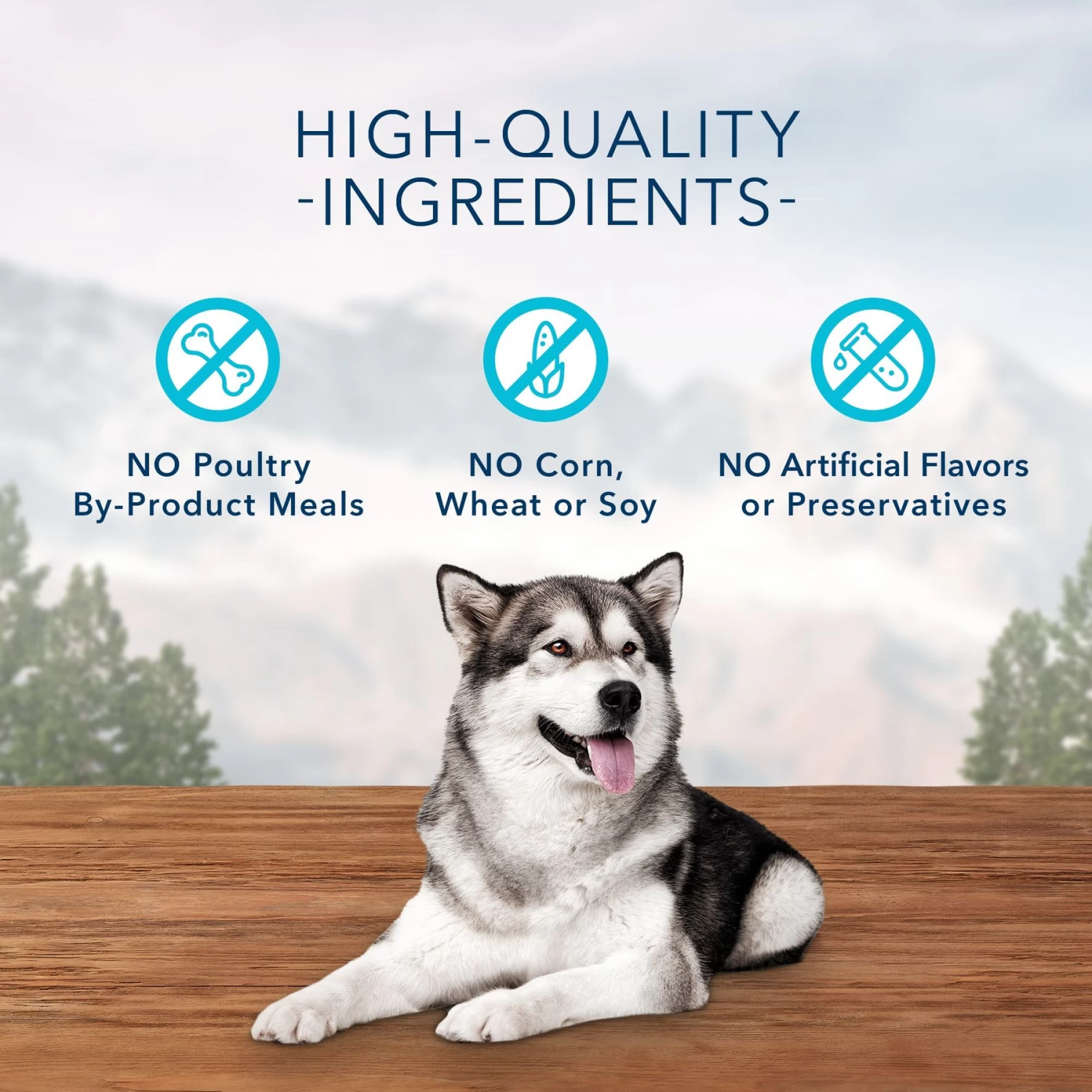 Blue Buffalo Wilderness Healthy Weight Adult High Protein Natural Chicken & Wholesome Grains Dry Dog Food & Blue Buffalo Wilderness Trail Treats Grain-Free Duck Biscuits Dog Treats - Image 9