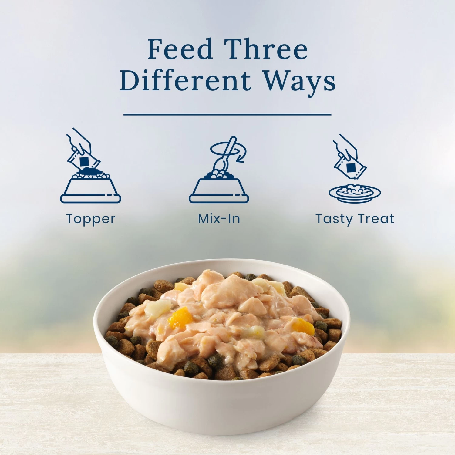 Blue Buffalo Basics LID Skin & Stomach Care Grain-Free Salmon In Gravy Adult Wet Dog Food Topper, 2.5-oz Pouch, Case Of 12 - Image 5