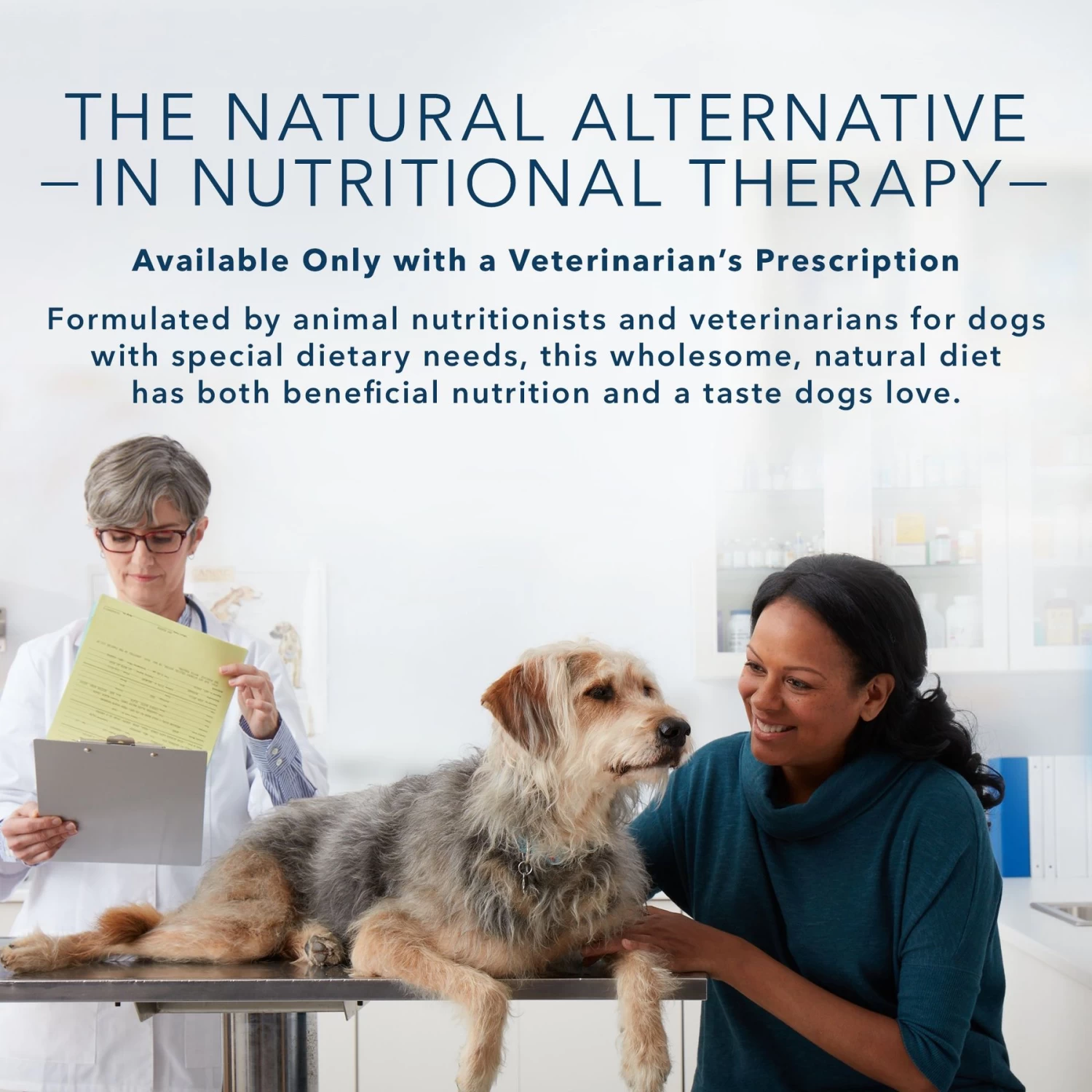Blue Buffalo Natural Veterinary Diet W+M Weight Management + Mobility Support Dry Dog Food - Image 4