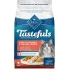 Blue Buffalo Indoor Hairball & Weight Control Chicken & Brown Rice Recipe Adult Dry Cat Food