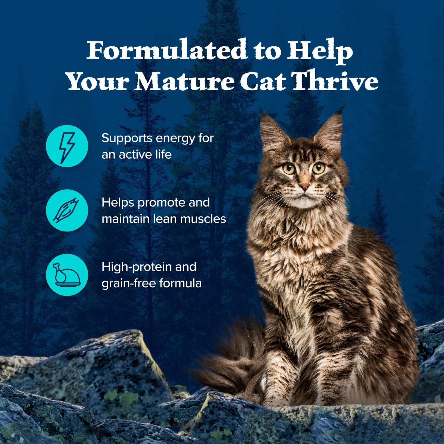 Blue Buffalo Wilderness Wild Delights Minced Chicken & Trout In Tasty Gravy Grain-Free Canned Cat Food - Image 4