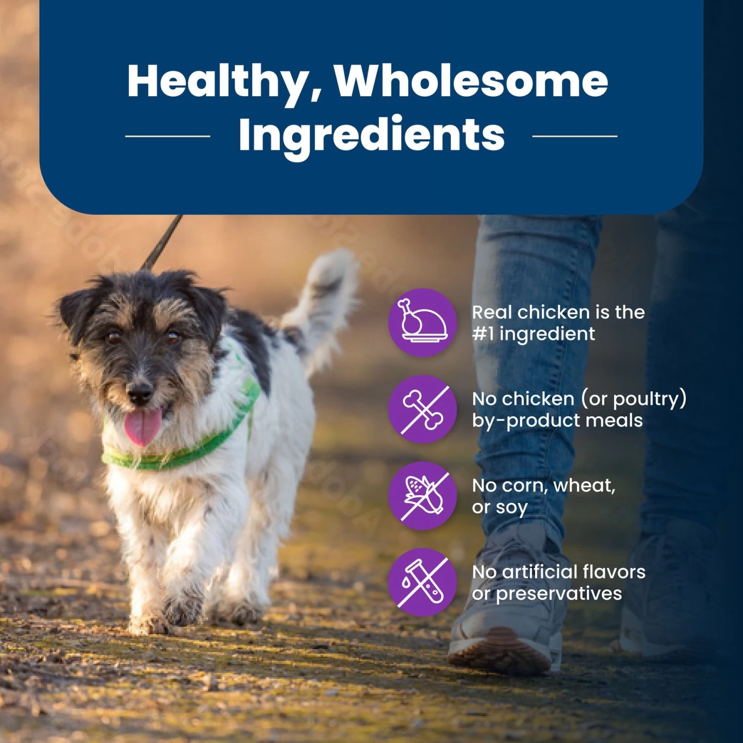 Blue Buffalo Life Protection Formula Toy Breed Adult Chicken & Brown Rice Recipe Dry Dog Food - Image 6