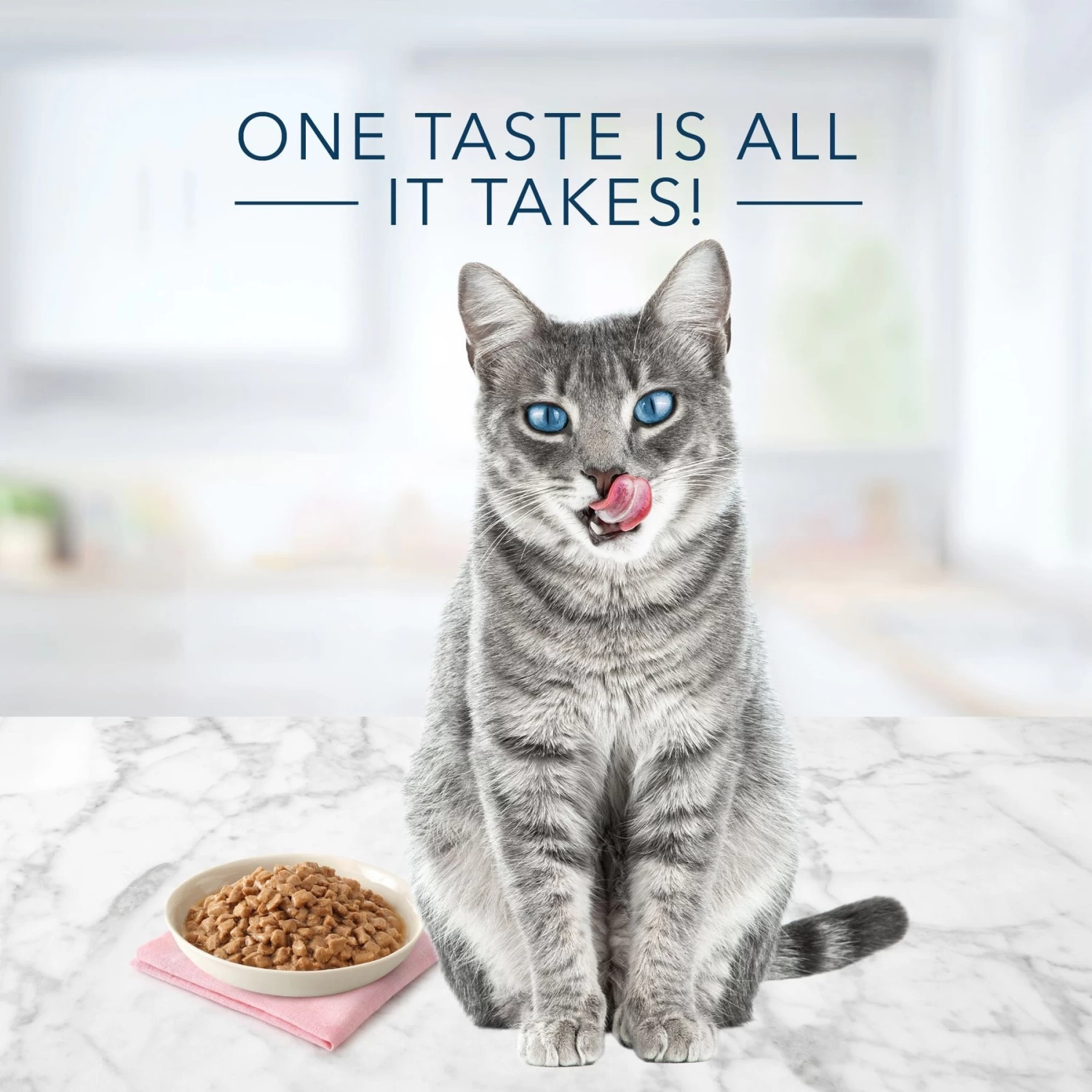 Blue Buffalo Tastefuls Natural Tender Morsels Tuna Entree Wet Cat Food, 3-oz Can, Case Of 12 - Image 4
