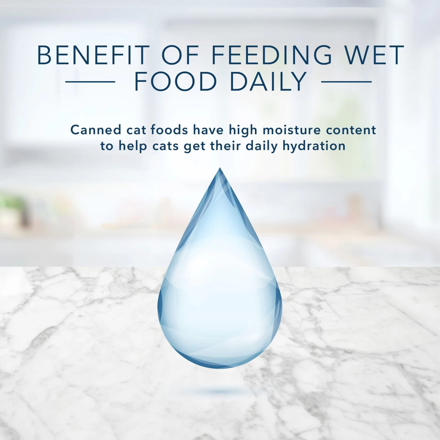 Blue Buffalo Tastefuls Natural Tender Morsels Tuna Entree Wet Cat Food, 3-oz Can, Case Of 12 - Image 7