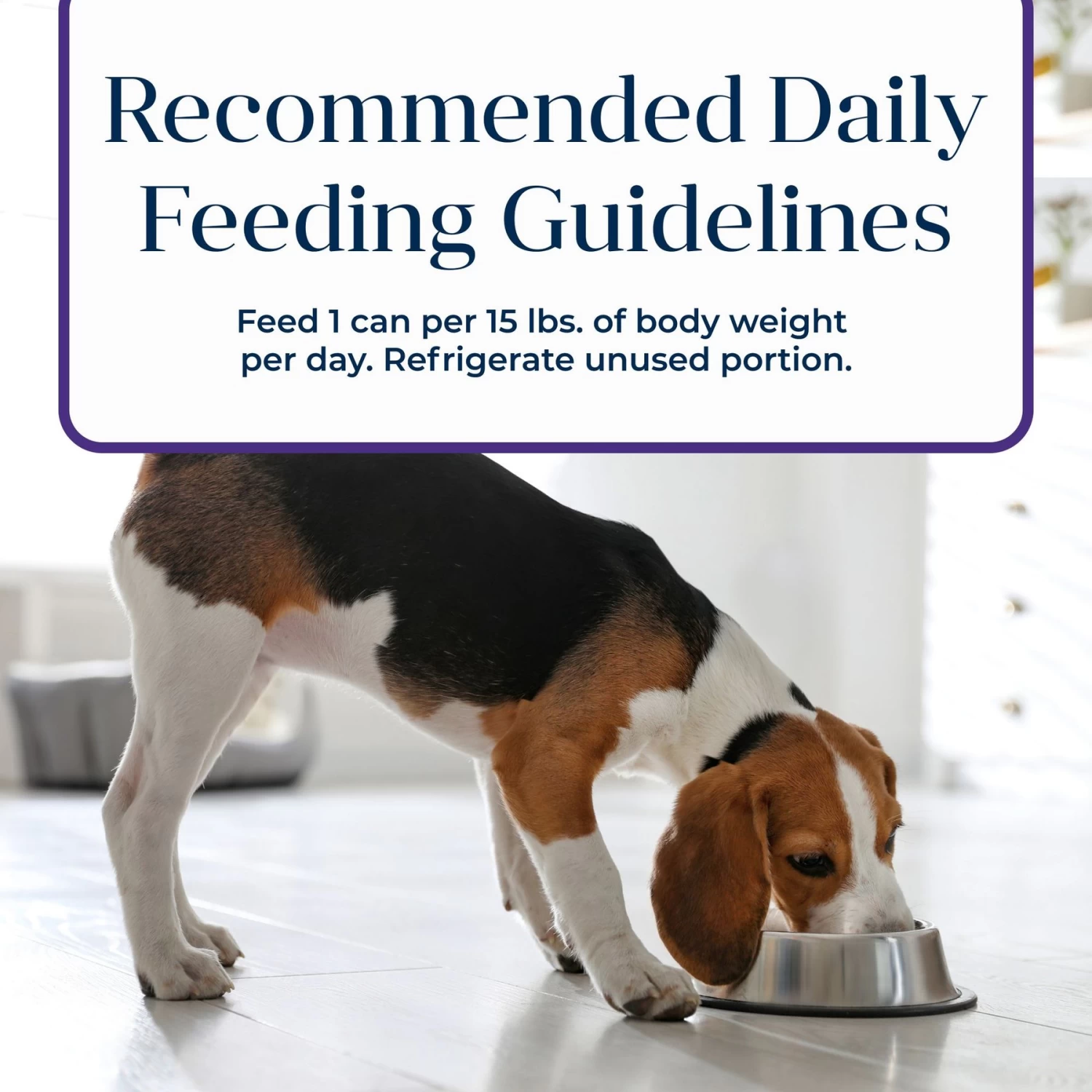 Blue Buffalo Basics Skin & Stomach Care Grain-Free Turkey & Potato Senior Canned Dog Food - Image 9