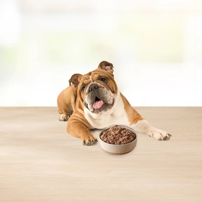 Blue Buffalo Basics Basics Skin & Stomach Care Grain Free Natural Wet Dog Food Lamb & Potato Recipe Adult - 12.5oz/12ct Pack - Image 3