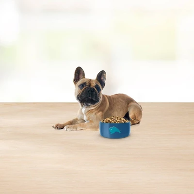 Blue Buffalo Basics Limited Ingredient Diet Turkey & Potato Recipe Small Breed Dry Dog Food - Image 4