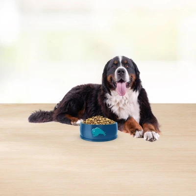 Blue Buffalo Basics Skin & Stomach Care, Grain Free Natural Lamb & Potato Recipe Large Breed Dry Dog Food - 22lbs - Image 4