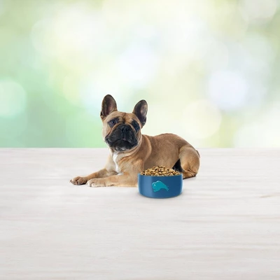 Blue Buffalo Freedom Grain Free With Chicken, Peas & Potatoes Small Breed Dry Dog Food - Image 3