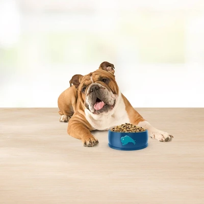 Blue Buffalo Basics Limited Ingredient Diet Grain Free Salmon & Potato Recipe Adult Dry Dog Food - Image 4