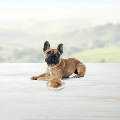 Blue Buffalo Delights Grain Free Paté Small Breed Wet Dog Food With Beef In Porterhouse & Filet Mignon Flavors - 3.5oz/12ct Variety Pack - Image 4